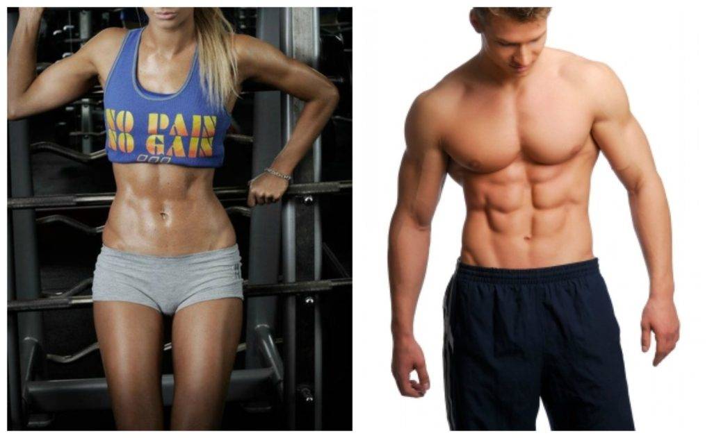 Режим силовых тренировок, гормоны и рост мышц