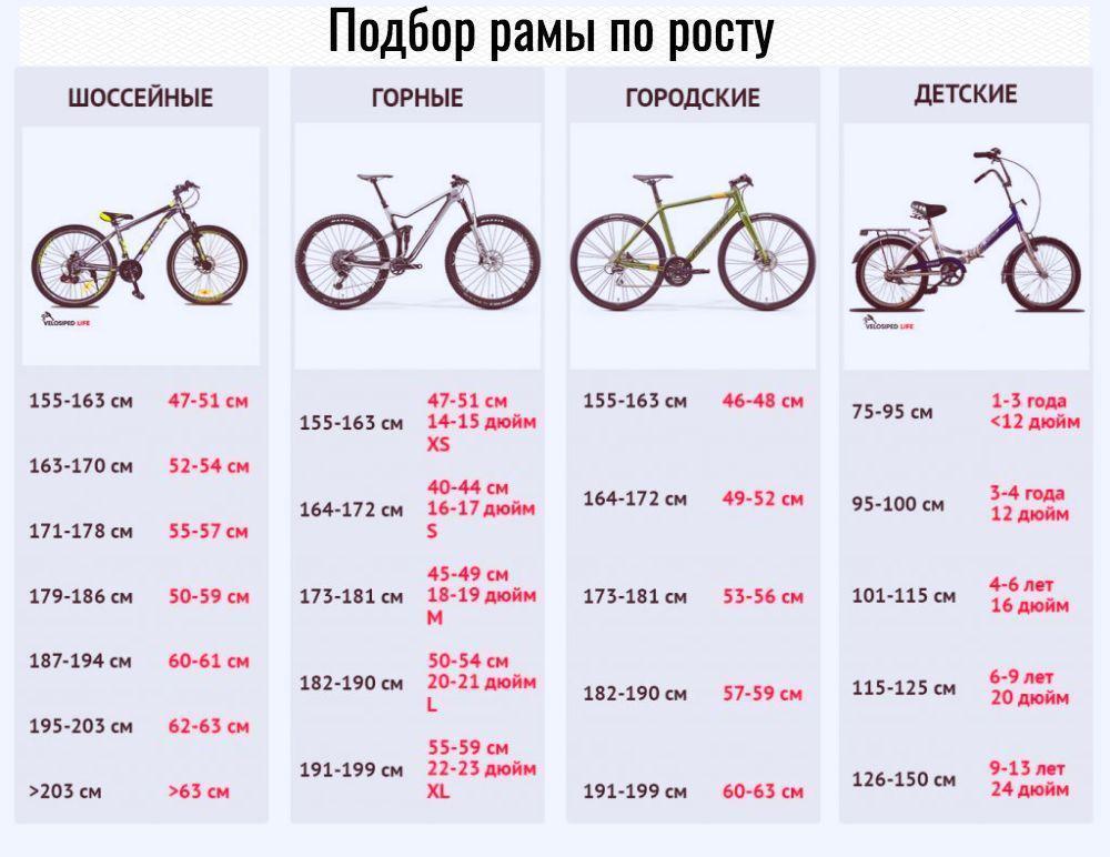 Как правильно выбрать велосипед по росту, типу и другим характеристикам