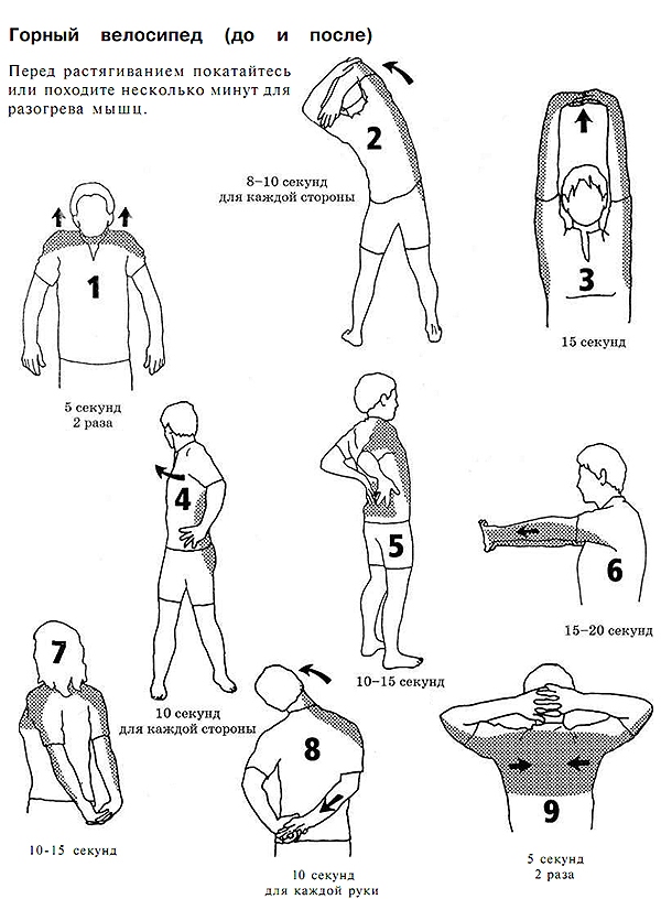 Растяжка рук и плеч: упражнения для растягивания мышц плечевого пояса