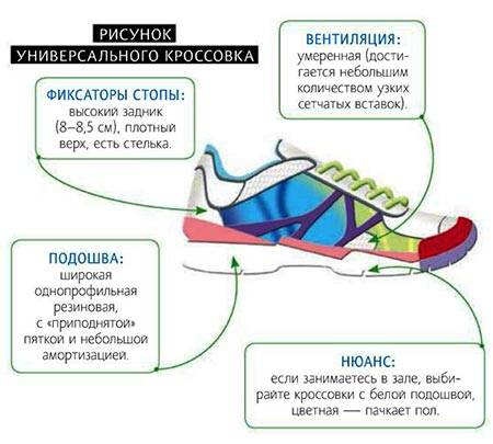 Как правильно выбрать кроссовки для повседневной носки | энциклопедия обуви