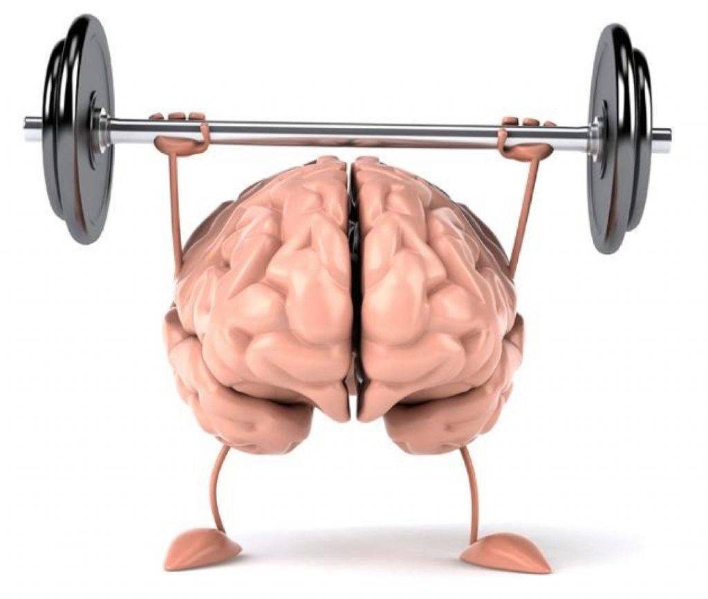 Связь мозг-мышцы. качаемся правильно. 
связь мозг-мышцы. качаемся правильно.