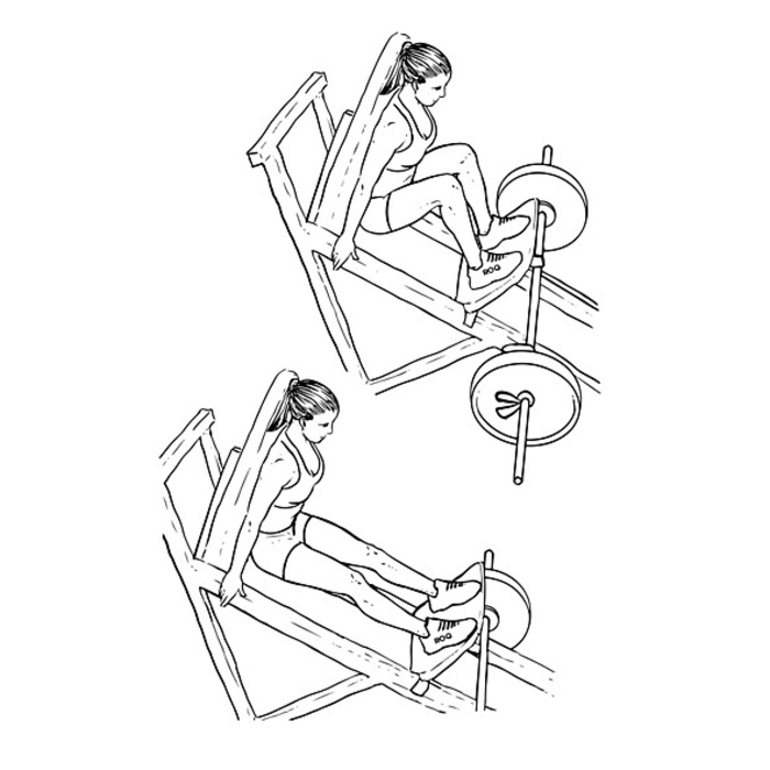 Жим ногами в тренажере: лежа или сидя, постановка ног и техника выполнения