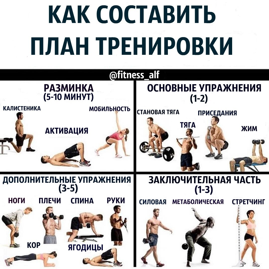 Круговая тренировка дома для девушек: комплекс эффективных упражнений - tony.ru
