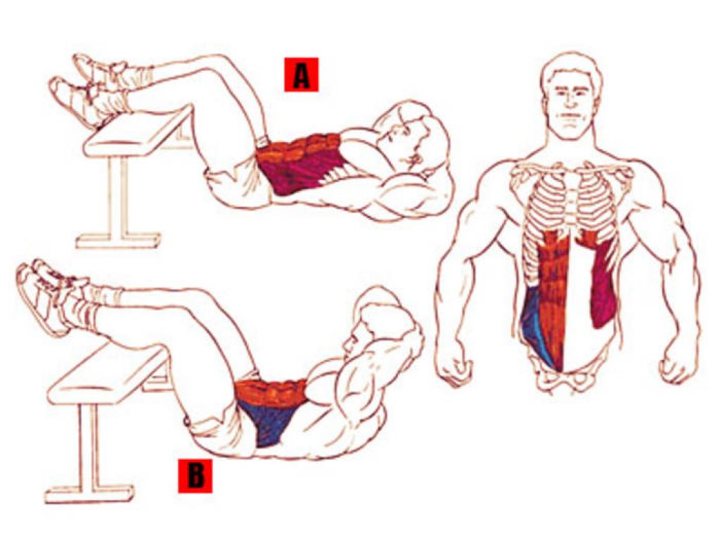 Упражнения для верхнего пресса: как накачать верхние мышцы живота мужчине и девушке