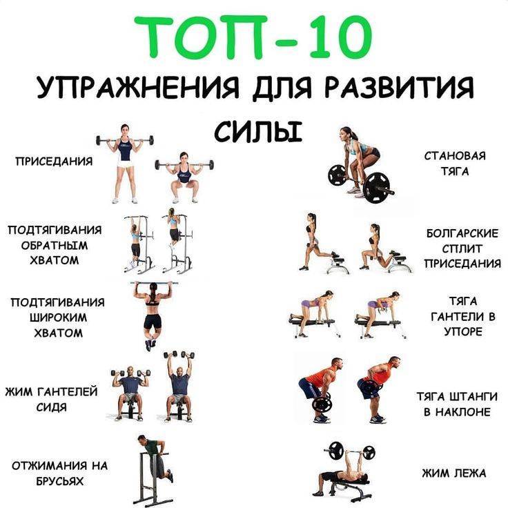 Сколько раз в неделю нужно тренироваться? сколько должна длиться тренировка? программа тренировок - tony.ru