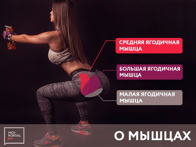 Базовые упражнения на ягодицы: как качать ягодичные мышцы на массу