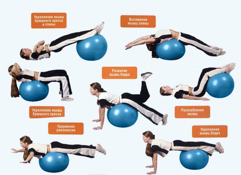 Упражнения для спины на фитболе: видео, занятия с гимнастическим мячом для позвоночника