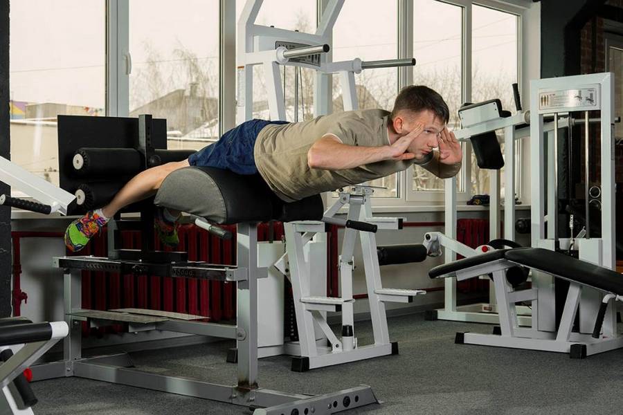 Тренировка спины в тренажерном зале: как правильно качать спину, лучшие упражнения для мышц спины