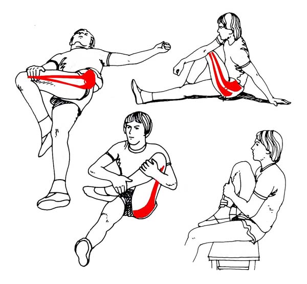 Упражнения для бедер: комплексы для похудения, подтяжки и упругости