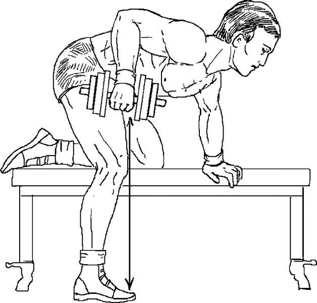 Тяга гантели в наклоне одной рукой к поясу: техника выполнения в упоре на скамье и стоя