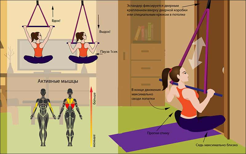Виды эспандеров для занятий фитнесом и домашних упражнений