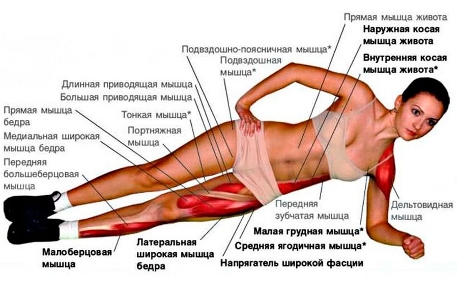 Боковая планка: как правильно делать, какие мышцы работают