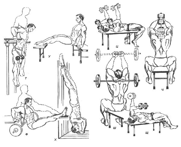 Упражнения на трицепс для женщин: в домашних условиях и тренажерном зале