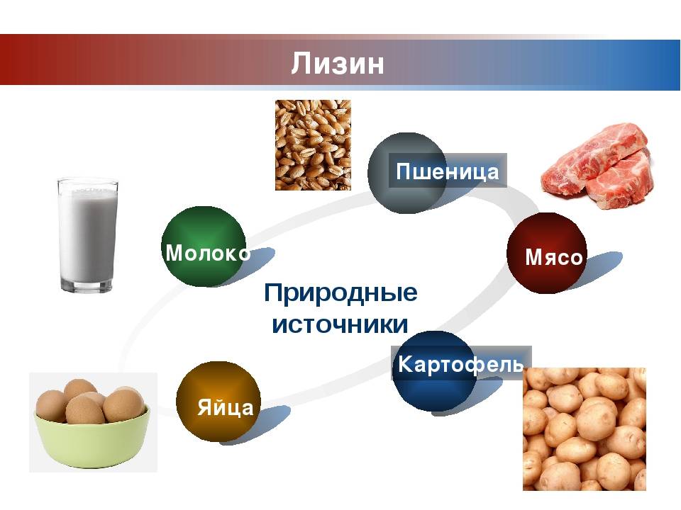 Лизин – таблица содержания аминокислоты в продуктах питания