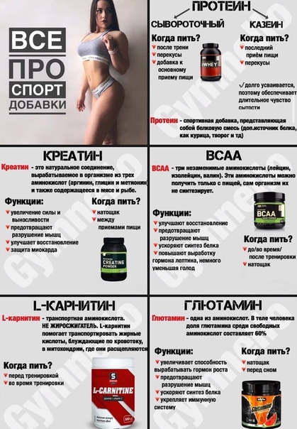 Стоит ли употреблять протеиновые добавки в дни без тренировок — life-sup.ru