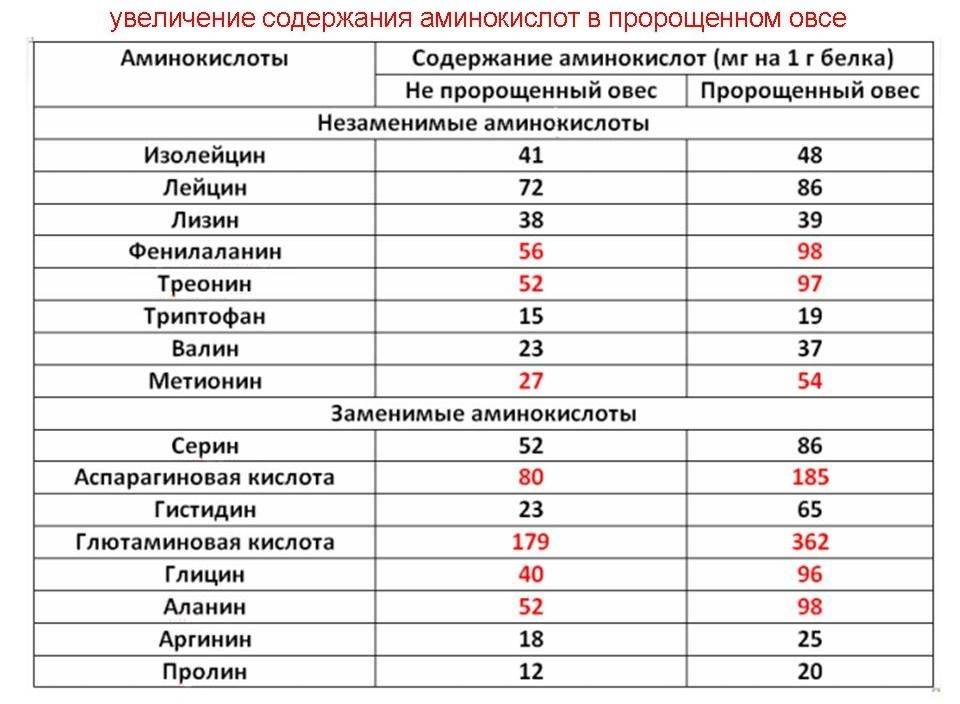 Лейцин: чем полезна аминокислота, как восполнить, источники