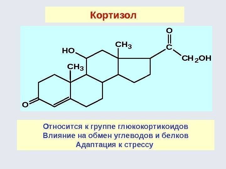 Адренокортикотропный гормон и кортизол: их взаимосвязь, нормальное значение и причины отклонения от нормы * клиника диана в санкт-петербурге