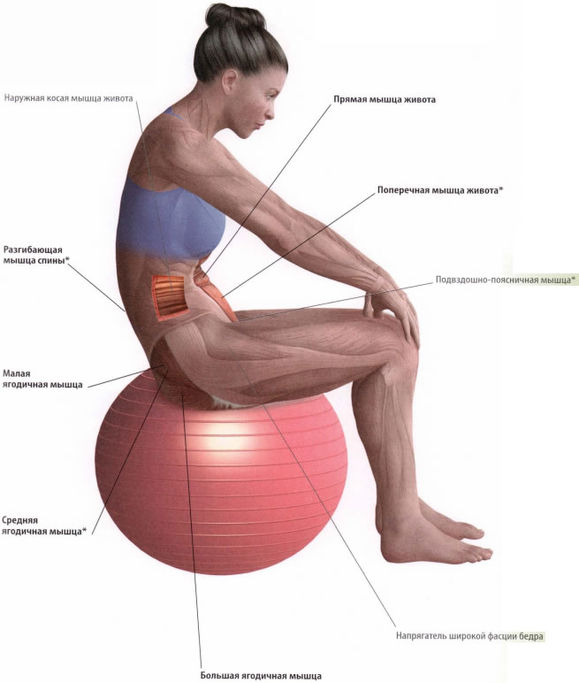 Растяжка ягодичных мышц: упражнения для домашних условий и спортзала
