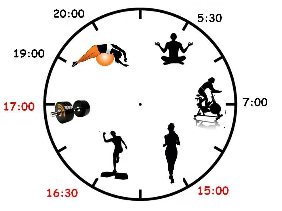 В какое время суток лучше заниматься спортом для похудения: утром или вечером?