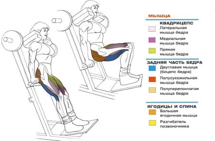 Гакк-приседания: какие мышцы работают, техника выполнения - tony.ru