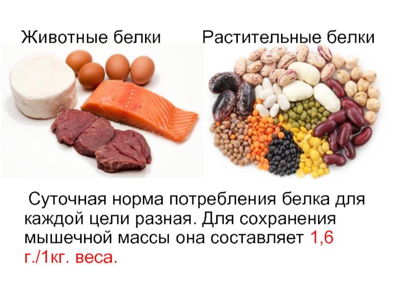 Рейтинг лучших российских протеинов на 2022 год, как выбрать, принимать.
