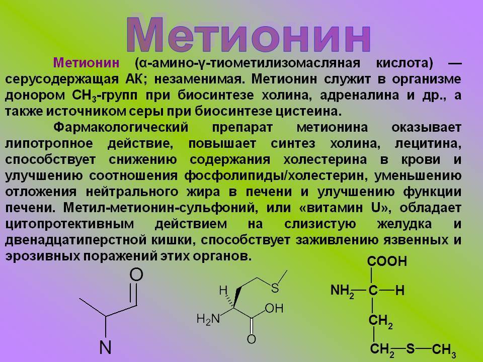 В каких продуктах содержится триптофан: список, таблица и особенности :: syl.ru