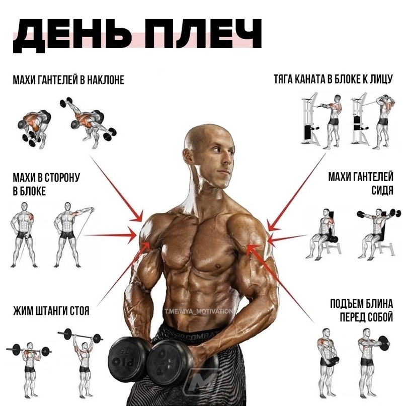 10 комплексных упражнений на все группы мышц