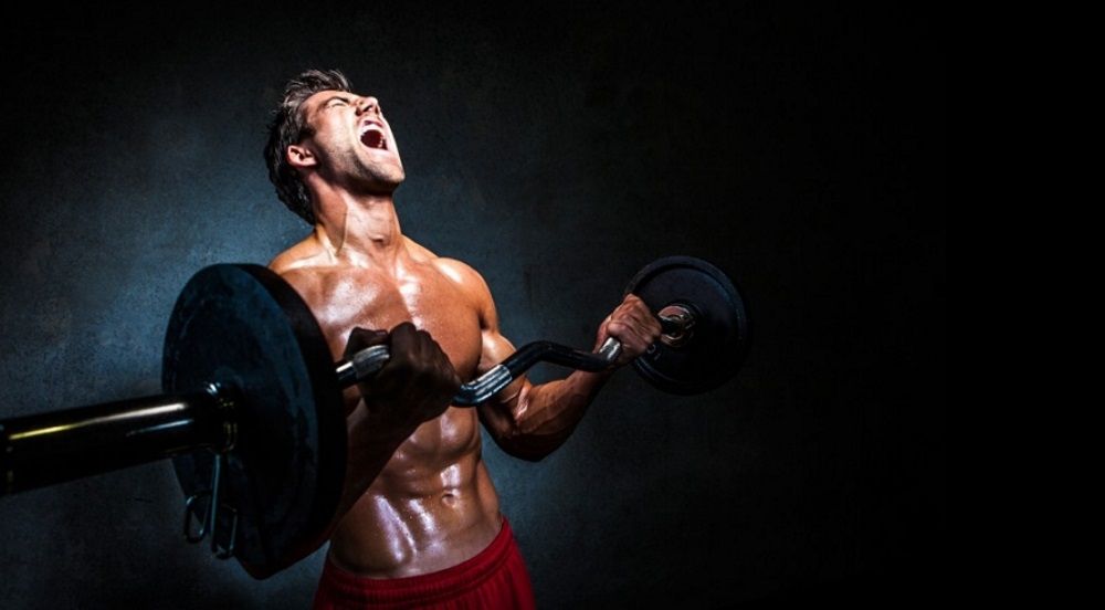 Как часто нужно нагружать мышцы?