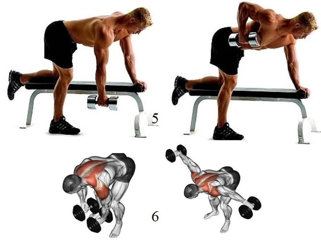 Как накачать спину: лучшие упражнения для спины