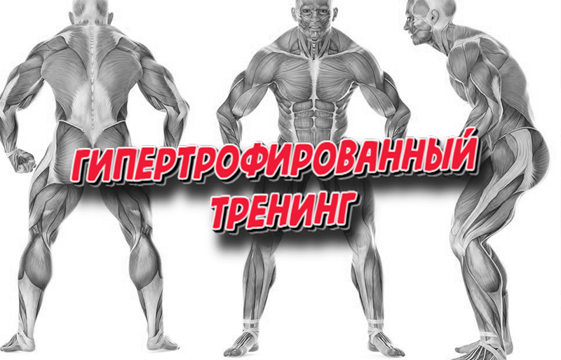 Увеличение силы и гипертрофия четырехглавой мышцы
увеличение силы и гипертрофия четырехглавой мышцы