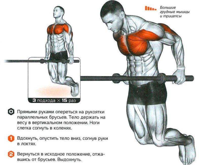 Отжимания широким хватом: какие мышцы работают и техника выполнения - tony.ru