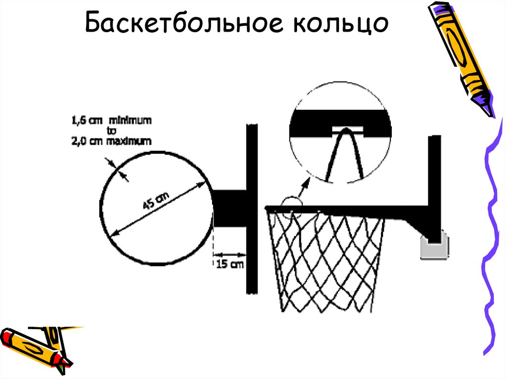 На какой высоте находится баскетбольное кольцо?