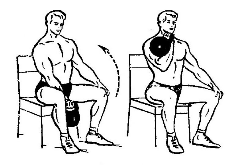 Упражнения на бицепс с гирей: особенности тренировок, основные правила