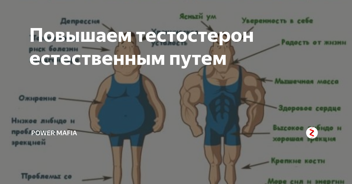 Как повысить тестостерон у мужчин естественными способами: 16 способов увеличить уровень тестостерона в организма