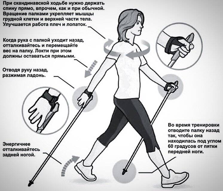 ✅ как правильно пользоваться палками для скандинавской ходьбы - veloexpert33.ru