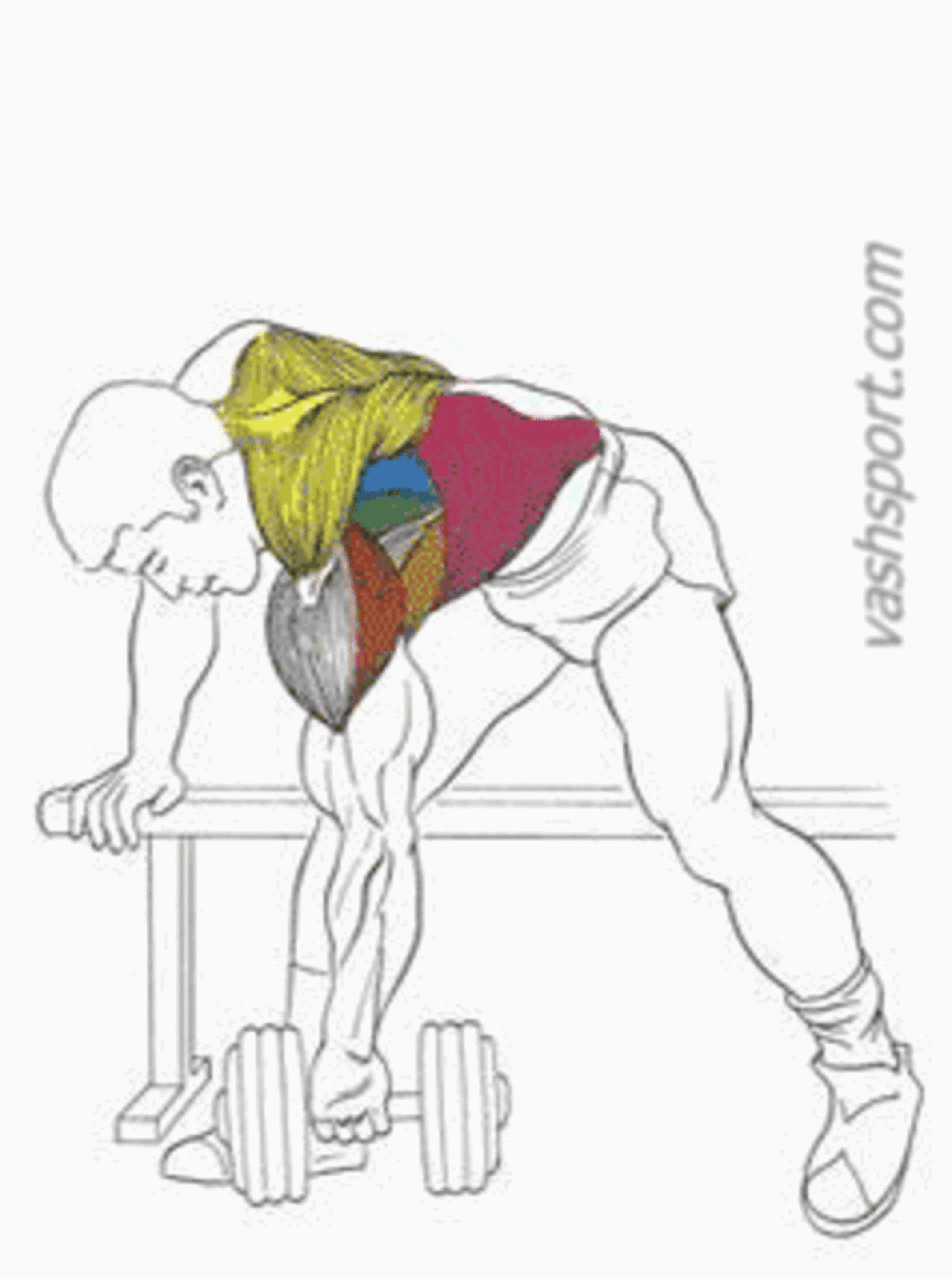 Как накачать крылья (широчайшие мышцы спины). упражнения дома и в тренажерном зале