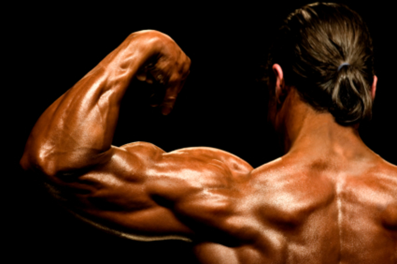 Гипертрофия мышц — что это? тренировки на массу — как запустить рост мышц?