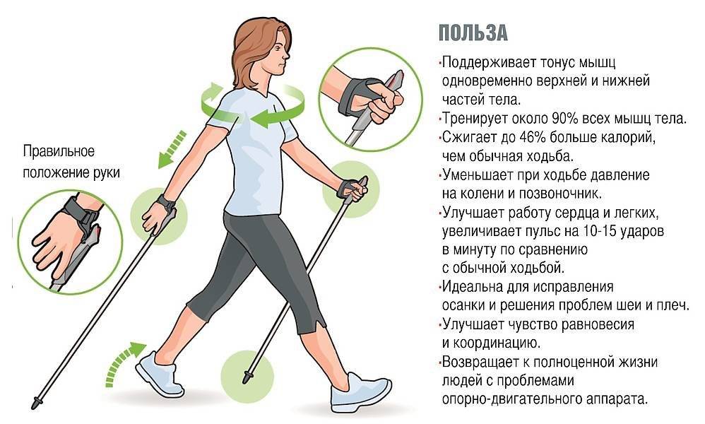 Техника спортивной ходьбы: как правильно