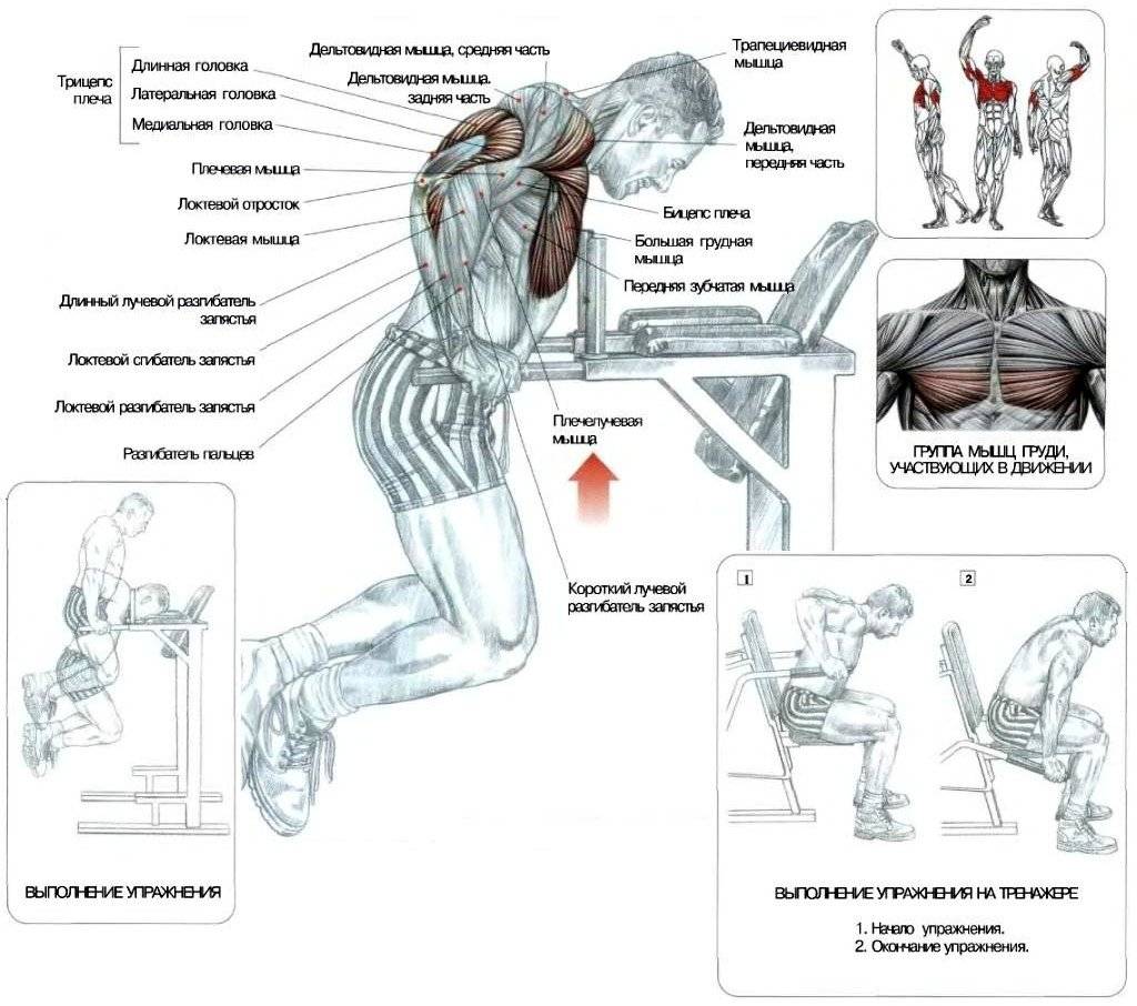 Тренажер степпер: какие мышцы работают, польза тренировок