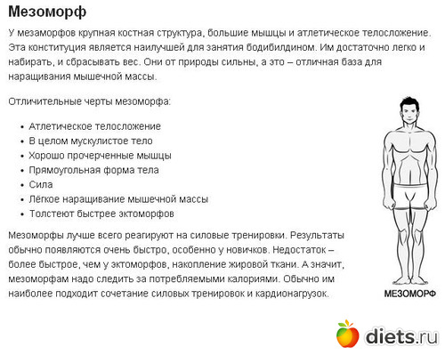 Тип телосложения: эктоморф, мезоморф, эндоморф