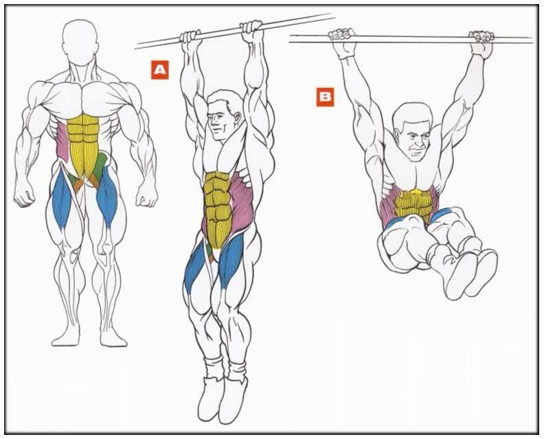 Подъем ног в висе - качаем три мышцы пресса одновременно