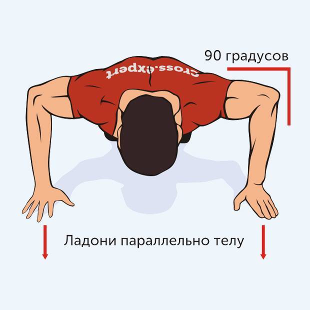 Отжимания узким хватом: виды упражнения и техника исполнения | rulebody.ru — правила тела