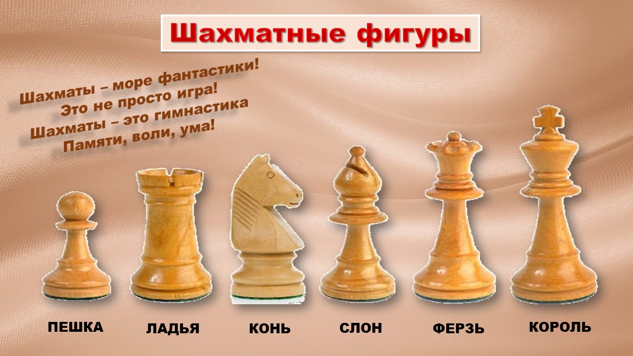 Правила игры в шахматы для начинающих: для детей, для новичков, как ходят фигуры, с картинками