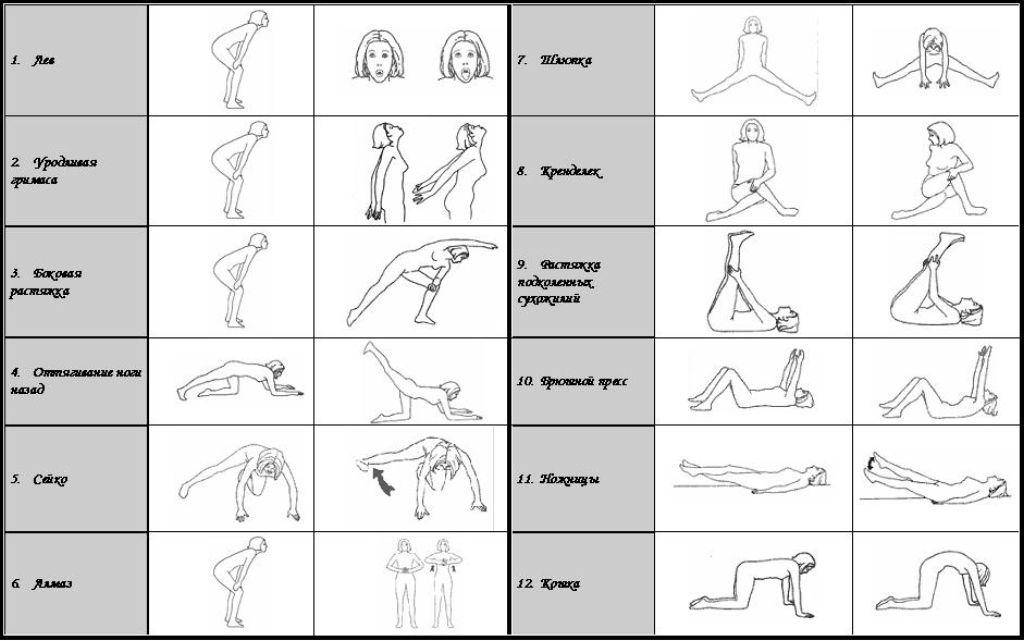Бодифлекс – плюсы и минусы дыхательной гимнастики, упражнения для начинающих