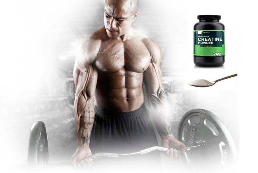 Спортивное питание для мышечной массы: что выбрать, протеин или bcaa для роста мышц - solo mag