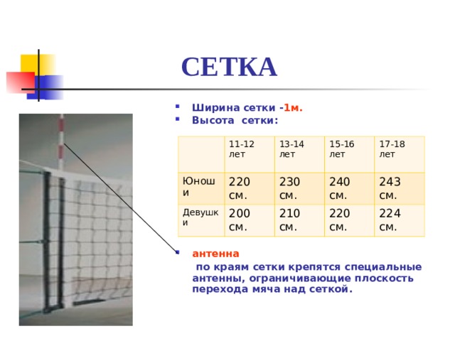 Размеры сетки волейбольной – высота сетки волейбольной: стандарты