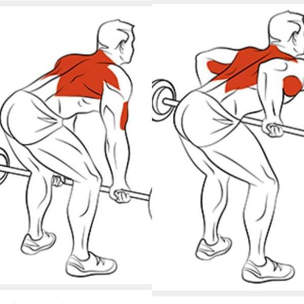 Комплексные упражнения на спину со штангой: правильная техника выполнения