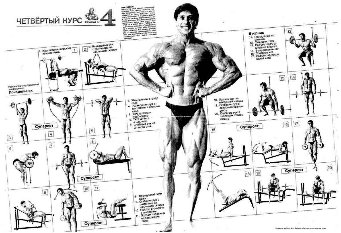Тренировка дома на все группы мышц: комплекс упражнений