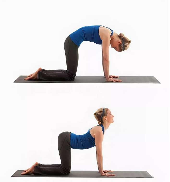 Упражнения для гибкости спины для начинающих в домашних условиях
