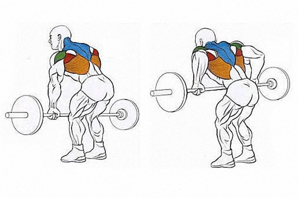 Прокачиваем мышцы спины: руководство для начинающих как сделать спину широкой и рельефной